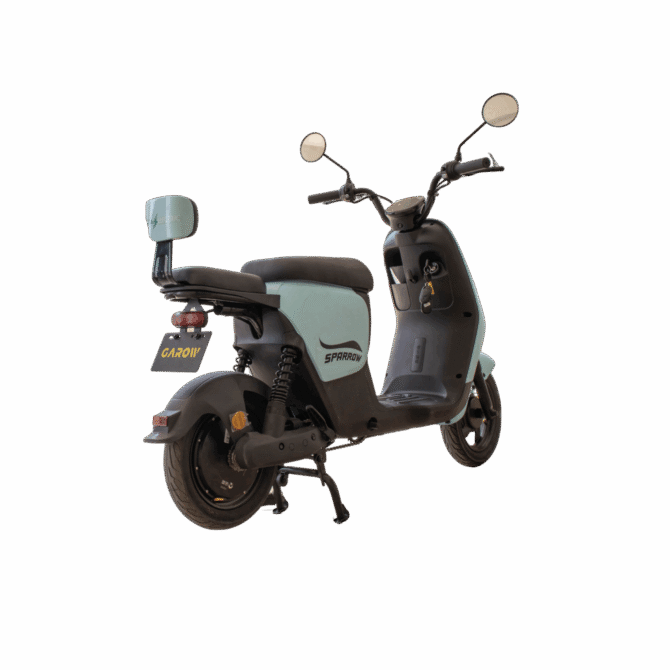 Sparrow - Image 2
